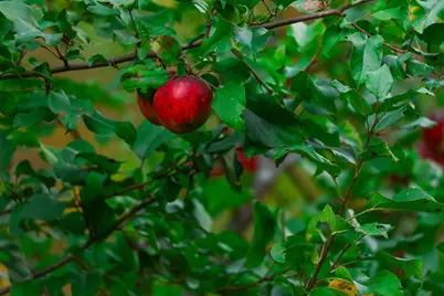 3108 Blackbird Road NE, Cass Lake, MN 56633 - Photo 27