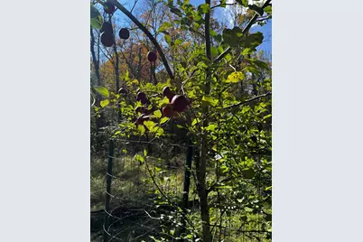 3108 Blackbird Road NE, Cass Lake, MN 56633 - Photo 37