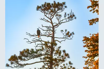 3108 Blackbird Road NE, Cass Lake, MN 56633 - Photo 21