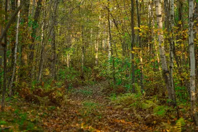 3108 Blackbird Road NE, Cass Lake, MN 56633 - Photo 31