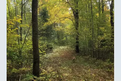 Tbd Bear Lake Road, Butternut, WI 54514 - Photo 5