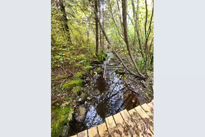 Tbd Bear Lake Road, Butternut, WI 54514 - Photo 11