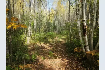 Tbd Bear Lake Road, Butternut, WI 54514 - Photo 1