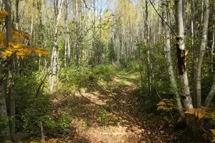 72429 Bear Lake Rd, Butternut, WI 54514 - Photo 1