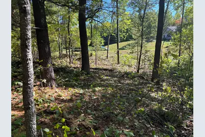 704 5th Street, Walker, MN 56484 - Photo 3