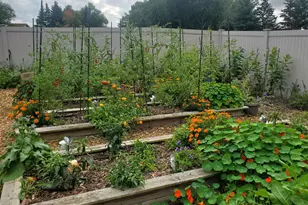 6848 Polaris Ln N, Maple Grove, MN 55311 - Photo 27