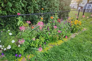 6848 Polaris Ln N, Maple Grove, MN 55311 - Photo 29