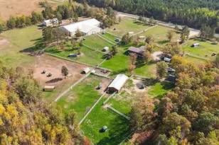 8011 Birchmont Beach Rd NE, Bemidji, MN 56601 - Photo 3