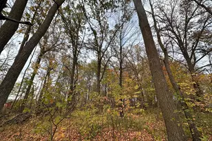 56715 480th St, New York Mills, MN 56567 - Photo 45