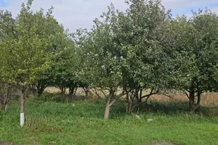 11314 County Rd 31 SE, Osakis, MN 56360 - Photo 49