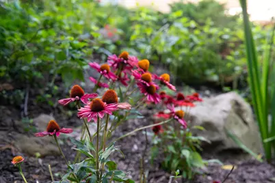 722 7th Street SW, Rochester, MN 55902 - Photo 57