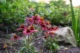 722 7th St SW, Rochester, MN 55902 - Photo 57