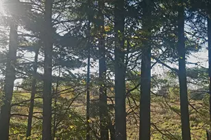 584 21 1/2 Ave, Cumberland, WI 54829 - Photo 35