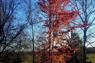 584 21 1/2 Ave, Cumberland, WI 54829 - Photo 33