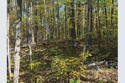 Tbd2 Deep Lake Road, Sarona, WI 54870 - Photo 13