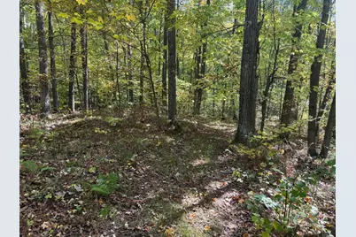 Tbd2 Deep Lake Road, Sarona, WI 54870 - Photo 9