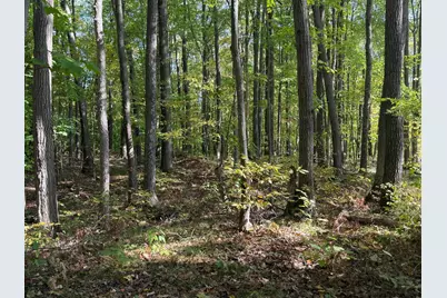 Tbd2 Deep Lake Road, Sarona, WI 54870 - Photo 1