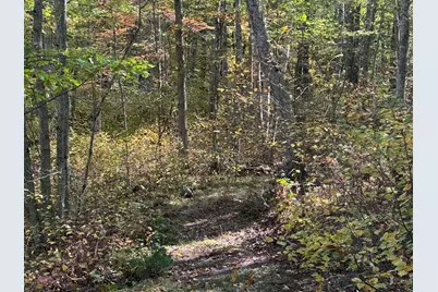 Tbd2 Deep Lake Road, Sarona, WI 54870 - Photo 5