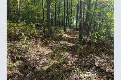 Tbd2 Deep Lake Road, Sarona, WI 54870 - Photo 7