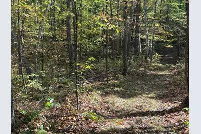 Tbd2 Deep Lake Road, Sarona, WI 54870 - Photo 11