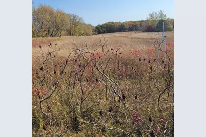 Tbd 447th Av, Ottertail, MN 56571 - Photo 1
