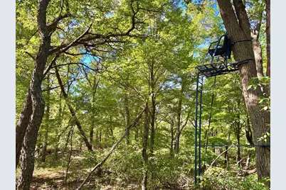 Tbd151 River Road, Saint Croix Falls, WI 54024 - Photo 57