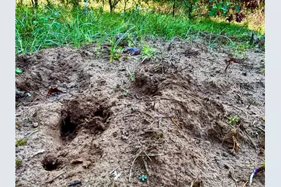 Tbd151 River Road, Saint Croix Falls, WI 54024 - Photo 21