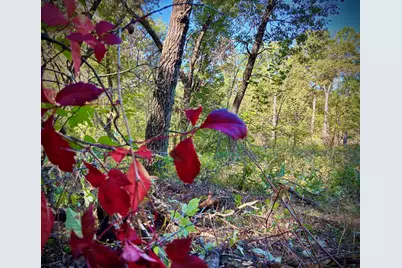 Tbd151 River Road, Saint Croix Falls, WI 54024 - Photo 51