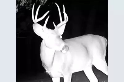 Tbd151 River Road, Saint Croix Falls, WI 54024 - Photo 81