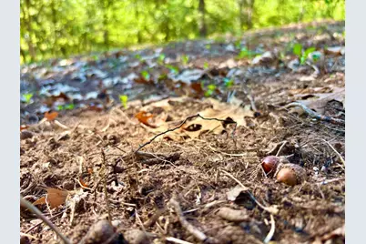 Tbd151 River Road, Saint Croix Falls, WI 54024 - Photo 41