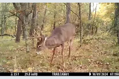 Tbd151 River Road, Saint Croix Falls, WI 54024 - Photo 79