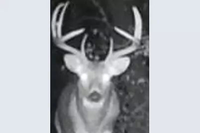 Tbd151 River Road, Saint Croix Falls, WI 54024 - Photo 85