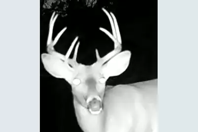 Tbd151 River Road, Saint Croix Falls, WI 54024 - Photo 83