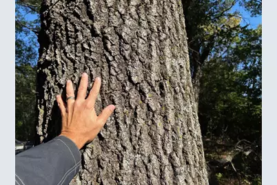 Tbd151 River Road, Saint Croix Falls, WI 54024 - Photo 55