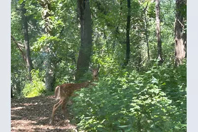 1601 N Innsbruck Drive #329, Fridley, MN 55432 - Photo 39