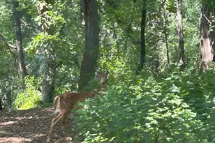 1601 N Innsbruck Dr, Fridley, MN 55432 - Photo 39