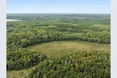 Parcel F Horseshoe Lake Rd, Merrifield, MN 56465 - Photo 13