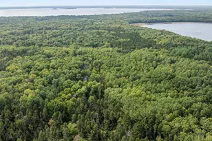 Parcel F Horseshoe Lake Rd, Merrifield, MN 56465 - Photo 1