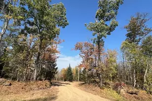 Tbd State Hwy 200, Swatara, MN 55785 - Photo 1