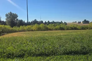 Tbd ( Lot 1 Blk 1) 3rd Ave SE, Harmony, MN 55939 - Photo 1