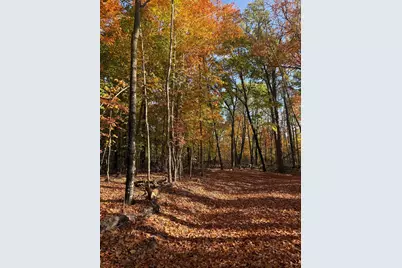 999 Porcupine Trail, Aitkin, MN 56431 - Photo 5