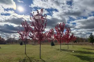 23846 Marmon St NE, Bethel, MN 55005 - Photo 35