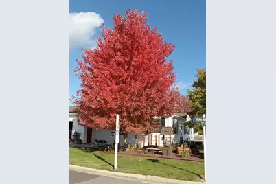 4314 Garden Court SE, Rochester, MN 55904 - Photo 13