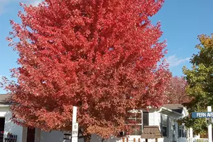 4314 Garden Ct SE, Rochester, MN 55904 - Photo 13