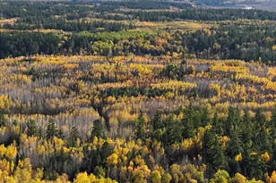 7178 Gold Mine Rd, Orr, MN 55771 - Photo 33