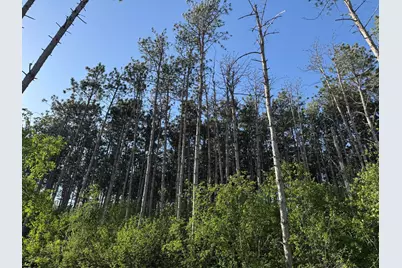 6135 Goodwin Avenue S, Cottage Grove, MN 55016 - Photo 11