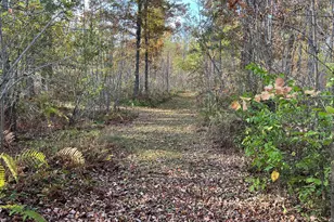 73855 Markville Rd, Arna Township, MN 55072 - Photo 9