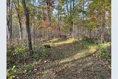 73855 Markville Road, Arna Township, MN 55072 - Photo 13