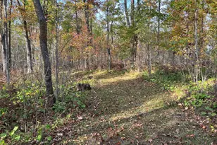 73855 Markville Rd, Arna Township, MN 55072 - Photo 13