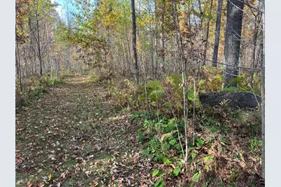 73855 Markville Road, Arna Township, MN 55072 - Photo 11